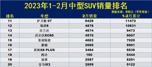 2月中大型suv排行榜销量前十名？