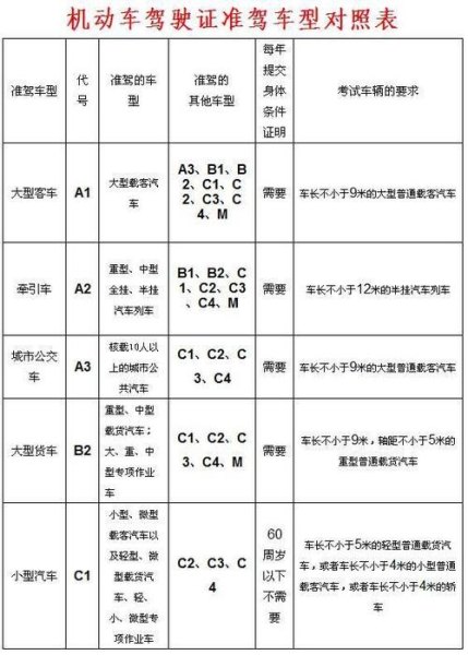 c1跑客车都需要什么手续？