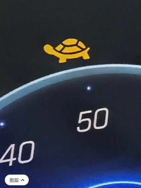 汽车出现小乌龟是什么意思？