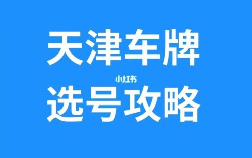 天津新能源汽车选号流程？