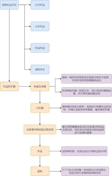 中铁宠物托运流程？