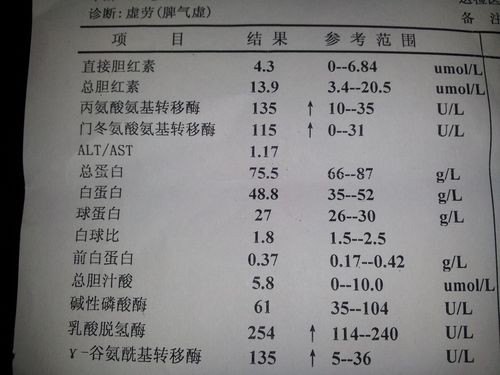 肝功能检查哪几项？都是什么呢？