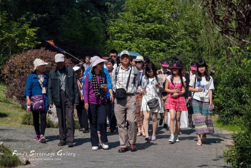 我想出去旅游，怎样和旅游团联系？