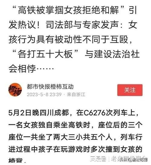 高铁掌掴事件复议结果人民日报