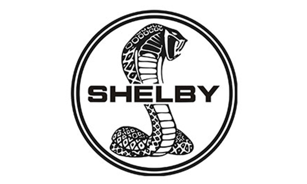 SHELBY谢尔比