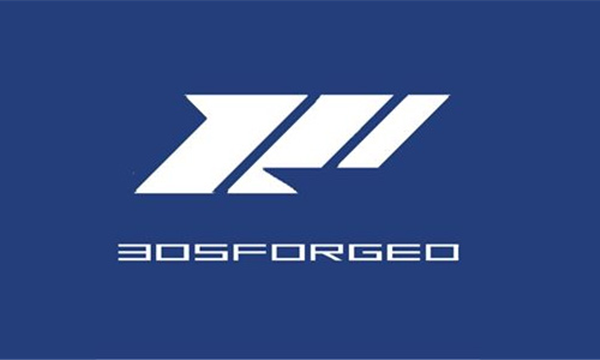 305FORGED轮毂轮圈