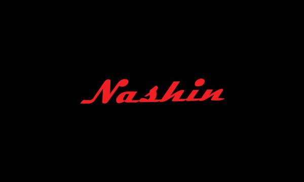 Nashin刹车